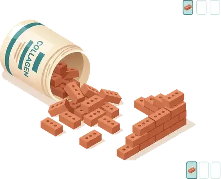 Single-source collagen powder